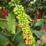 커피앤베이커리학원