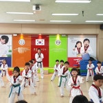 둥글이태권도