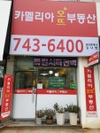 카멜리아오뜨공인중개사사무소