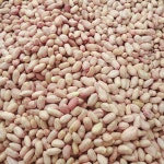 우포누리팜농업회사법인