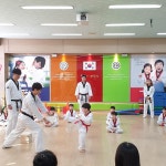 둥글이태권도