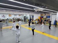 경희대사랑인태권도