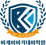 비케이아카데미학원