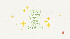 선유캘리그라피앤플라워