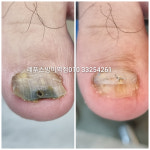 레푸스 방이역점