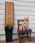 놀러와 펜션