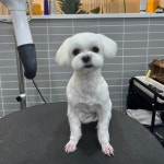 헤이멍
