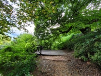 예산느티나무캠핑장