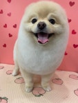 유독이쁨