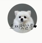 모찌펫살롱