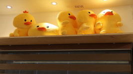 오리왕