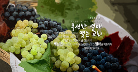 참포도나무교회