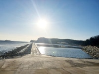 해솔바다향기 대부도 독채 단체 펜션