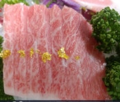 사조참치
