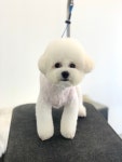 오늘도 예쁘개