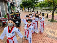 JTA용인대태권도