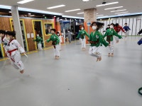 연세사랑태권도
