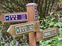 통나무펜션&편백쉼터