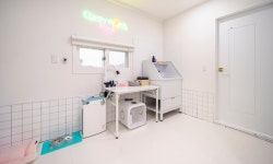 체리몽애견풀빌라