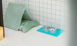 체리몽애견풀빌라