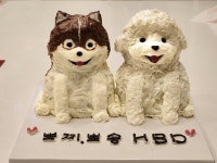 원두네 멍냥백서