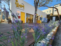 공유카페요새여행자센터