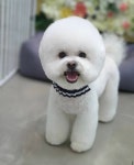 연지곤지 그루밍샵