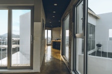 토리코티지x하시시박