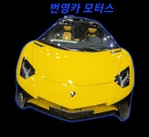 번영카모터스&범퍼 부분도색