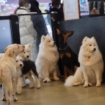 이리 오시개 의정부점