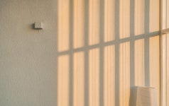 토리코티지x하시시박