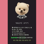제주 애견 아가야 본점
