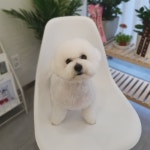 제이스그루밍