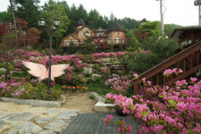 숲속의요정