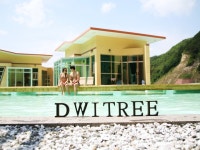 드위트리 풀빌라펜션&카라반가든