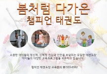 국가대표챔피언