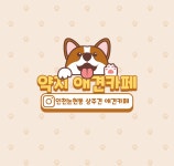약지애견카페