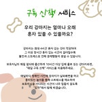 제주펫시터 토닥