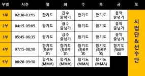 용인대수합기도