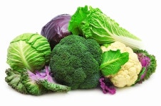 정성드림건강식품