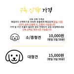 제주펫시터 토닥