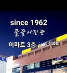 풀꽃 사진관 5호