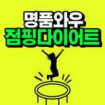 와우점핑다이어트