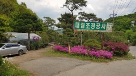 대림조경공사