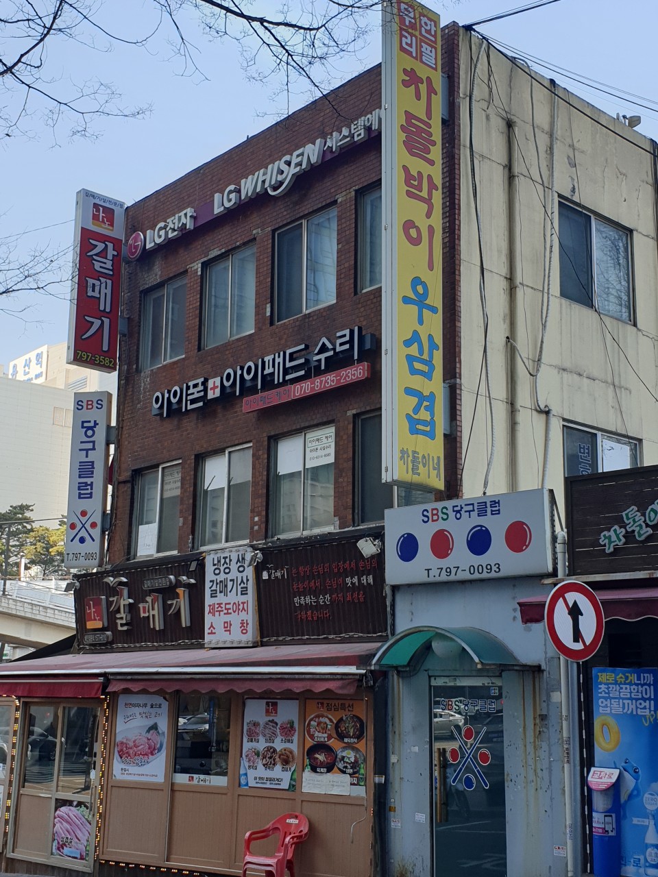 나노갈매기 이미지