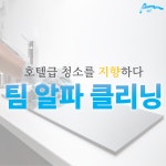 팀알파클리닝