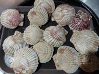 민석이네삼형제조개구이2호점