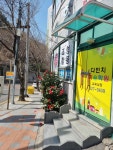 다빈치미술학원