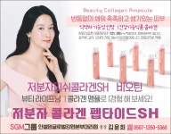 인셀덤 글로벌강원본부대리점