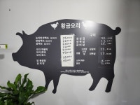 황금오리